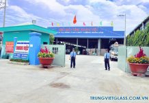 Bên trong nhà máy Kính Trung Việt và môi trường làm việc chuyên nghiệp