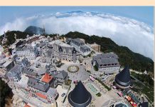 Dự án Công ty TNHH Kính Tân Bình – TANIGLASS